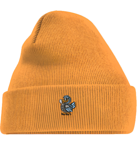 Pangea Beanie