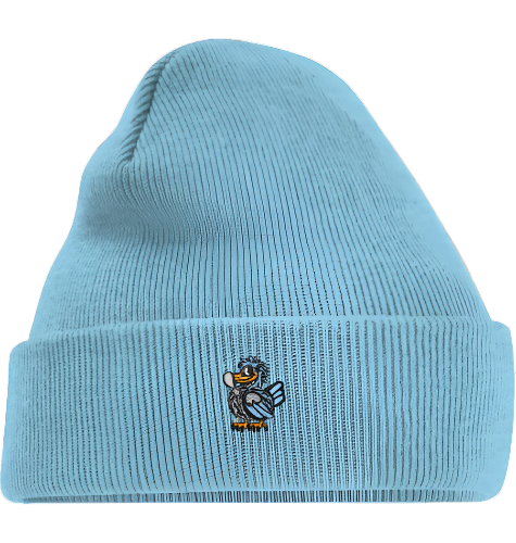 Pangea Beanie